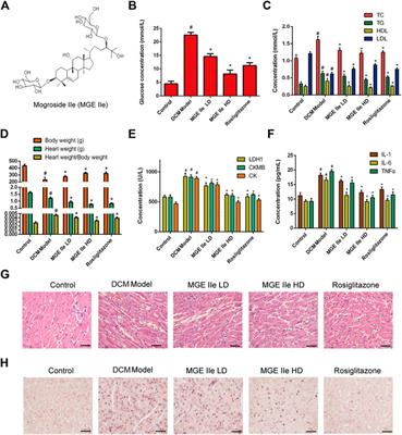 Mogroside IIe Ameliorates Cardiomyopathy by Suppressing Cardiomyocyte Apoptosis in a Type 2 Diabetic Model